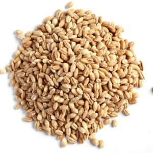 Barley Feed