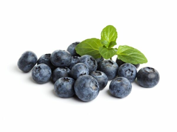 Organic Blueberries